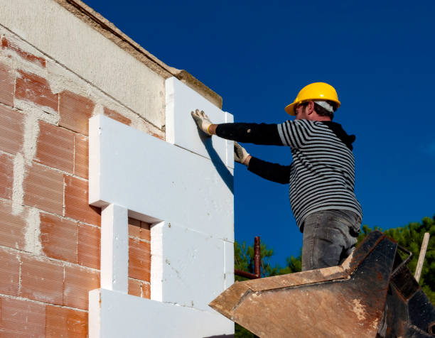 Best Cellulose Insulation in West Columbia, TX