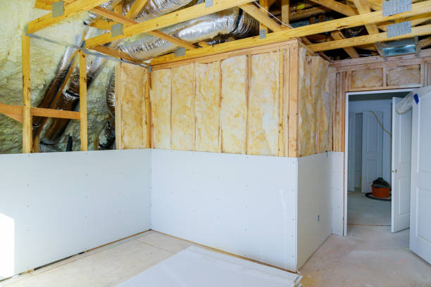 Best Specialized Insulation Services in West Columbia, TX