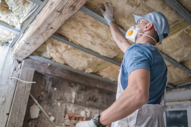 Types of Insulation We Offer in West Columbia, TX
