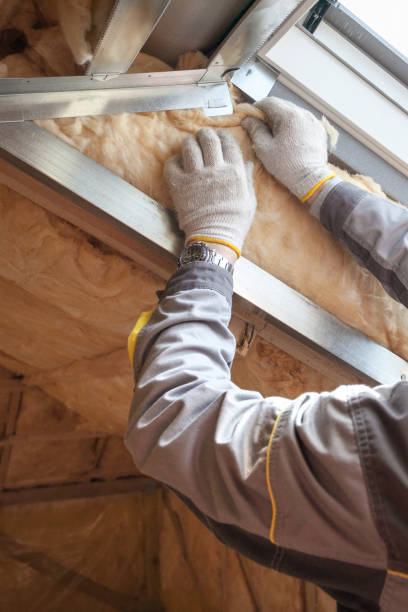 Best Spray Foam Insulation in West Columbia, TX
