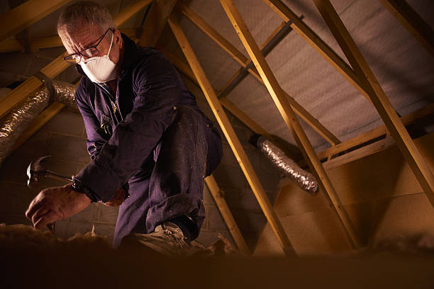Trusted West Columbia, TX Insulation Contractor Experts