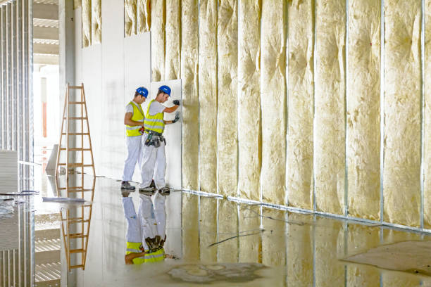 Best Energy Efficiency Insulation in West Columbia, TX